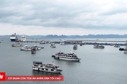 Quảng Ninh tạm dừng cấp ph&eacute;p t&agrave;u ra khơi