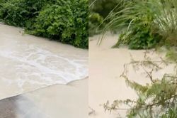 Khe nước bỗng hóa 'dòng sữa lạ', nồng nặc mùi hôi sau mỗi trận mưa