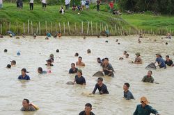 Hàng trăm người lội bùn, vung nơm bắt cá cầu may ở Nghệ An