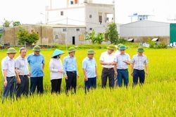 Lãnh đạo tỉnh Nghệ An kiểm tra công tác sản xuất nông nghiệp, ứng phó với thiên tai