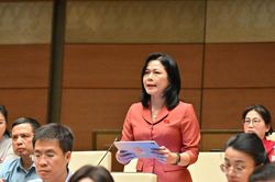 ĐBQH Vũ Thị Lan Anh: Siết kỷ luật ng&acirc;n s&aacute;ch, tăng cường đ&aacute;nh gi&aacute; rủi ro t&agrave;i kh&oacute;a