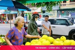 Bưởi Phúc Trạch đầu mùa... xuống phố
