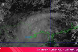 Tin nhanh về cơn bão số 4