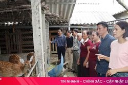 Nông dân Hà Tĩnh liên kết, nâng cao hiệu quả sản xuất