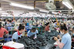 Thu hút có chọn lọc các dự án đầu tư vào khu công nghiệp tỉnh Lâm Đồng