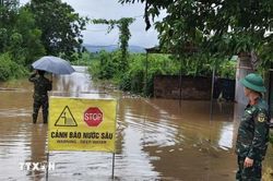 Mưa lớn gây ngập 1.687 ha diện tích nông nghiệp tại Bắc Ninh