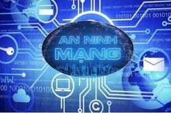 Quy định về hoạt động bảo đảm an ninh thông tin mạng của doanh nghiệp