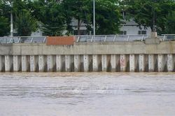 Khẩn trương hoàn thành kè bảo vệ bờ sông Tiền trước cao điểm mùa lũ