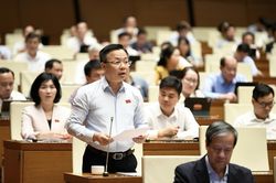 'Không có cơ chế điều chỉnh kịp thời, ngân sách có tiền việc vẫn không chạy'