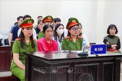 Dời thời gian phúc thẩm vụ cựu Hiệu trưởng Trường THCS Ba Đình (Hà Nội)