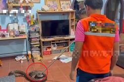 Nghe tiếng động lạ, người dân phát hiện cảnh tượng 'đáng sợ' lúc rạng sáng