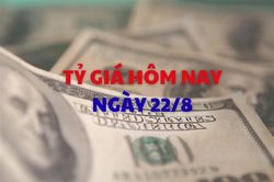 Tỷ giá hôm nay 22/8: Giá USD tăng nhẹ