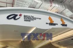 Việt Nam-Singapore và bài học nguyên lý thích ứng với bùng nổ công nghệ