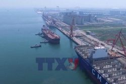 Kinh tế thế giới đứng vững sau cú sốc Hormuz