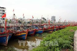 Ứng phó bão số 4: Hưng Yên cấm biển, toàn bộ 1.239 tàu thuyền đã vào bến an toàn