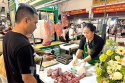 Nâng cao hiệu quả truy xuất nguồn gốc nông, lâm, thủy sản trên địa bàn TP. Hồ Chí Minh