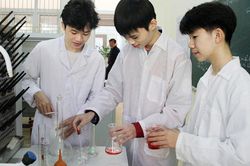 Cấm AI 'làm hộ' học sinh trong cuộc thi nghiên cứu khoa học, kỹ thuật quốc gia