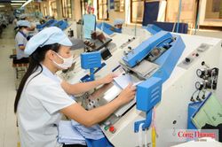 Doanh nghiệp Việt vượt rào cản kỹ thuật, chinh phục sâu thị trường EU