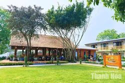 Nhiều thay đổi trong cách lựa chọn chuyến đi của du khách