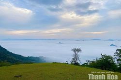 “Phải lòng” Thạch Lập