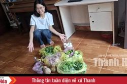 G&oacute;i qu&ecirc; gửi phố