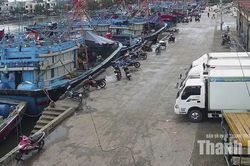 Khẩn trương kêu gọi tàu thuyền vào nơi tránh trú bão