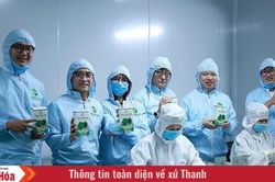 Rau m&aacute; qu&ecirc; nh&agrave; v&agrave; kh&aacute;t vọng vươn xa
