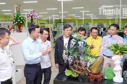 Doanh nghiệp Thanh Hóa - Lâm Đồng tăng cường liên kết