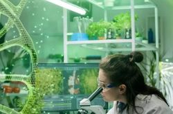 Quản lý quyền giống cây trồng: Vì sao đề xuất giao về Bộ Khoa học và Công nghệ?