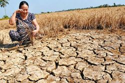 Thay đổi tư duy từ 'quyền đối với đất' sang 'quyền của đất'