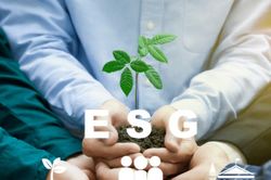 Đánh giá mức độ thực hành ESG của doanh nghiệp Việt