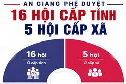 An Giang phê duyệt 16 hội quần chúng cấp tỉnh, 5 hội cấp xã