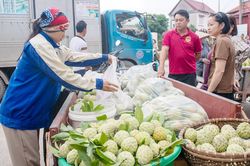 Nghĩa Phương - Ngọt ngào mùa quả chín