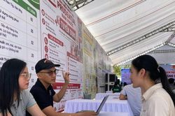 Phường An Thắng kết nối việc làm cho người lao động