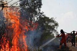 Indonesia triển khai máy bay, mưa nhân tạo dập tắt cháy rừng