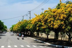 Vùng đất từ những cuộc cộng cư