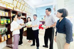 Kết nối, hỗ trợ phát triển sản xuất