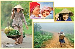 Xem ảnh về tình mẹ bao la của Trần Thế Phong