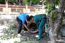 Nhiều xã, phường ở Đồng Nai đồng loạt ra quân phòng, chống sốt xuất huyết