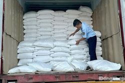 Xử phạt 1 trường hợp kinh doanh 26,5 tấn gạo vi phạm nhãn hàng hóa