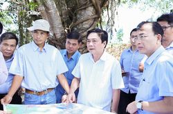 Phó Chủ tịch Thường trực HĐND tỉnh Lữ Thanh Hải khảo sát các khu đất thực hiện dự án điện gió