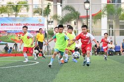 Giải bóng đá thiếu niên nhi đồng Cung Văn hóa Thiếu nhi tỉnh năm 2026