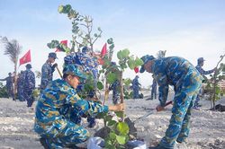 Gieo màu xanh Trường Sa
