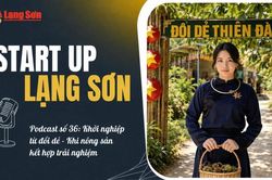 Podcast &ldquo;Start-up Lạng Sơn&rdquo; số 36: Khởi nghiệp từ đồi dẻ - Khi n&ocirc;ng sản kết hợp trải nghiệm