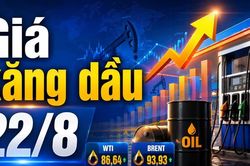Giá xăng dầu hôm nay 22/8/2026: WTI trên 86 USD, Brent gần 94 USD