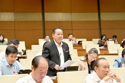 Đại biểu Quốc hội Tráng A Dương góp ý chính sách phát triển thị trường bất động sản