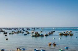 Mãi thoảng nồng hương biển