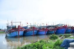 Ninh Bình khẩn trương ứng phó bão số 4 và mưa lũ: Cấm biển từ 5h ngày 22/8