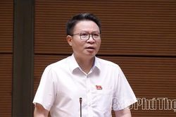 Đại biểu Quốc hội tỉnh thảo luận về định hướng chính sách sửa đổi Luật Kinh doanh bất động sản
