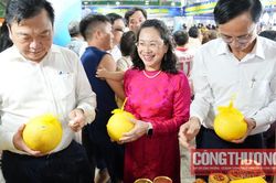 Khai mạc Hội chợ sản phẩm c&ocirc;ng nghiệp n&ocirc;ng th&ocirc;n ti&ecirc;u biểu khu vực miền Trung - T&acirc;y Nguy&ecirc;n năm 2026
